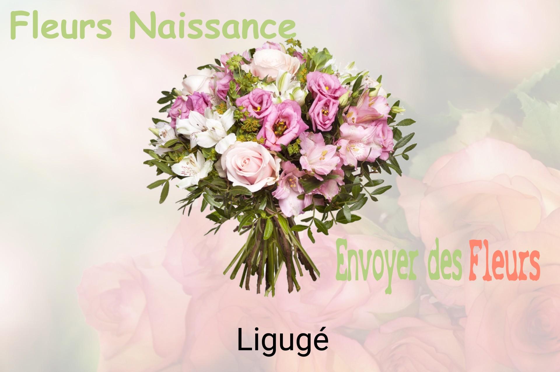 Bouquet de fleurs de naissance livré à Ligugé